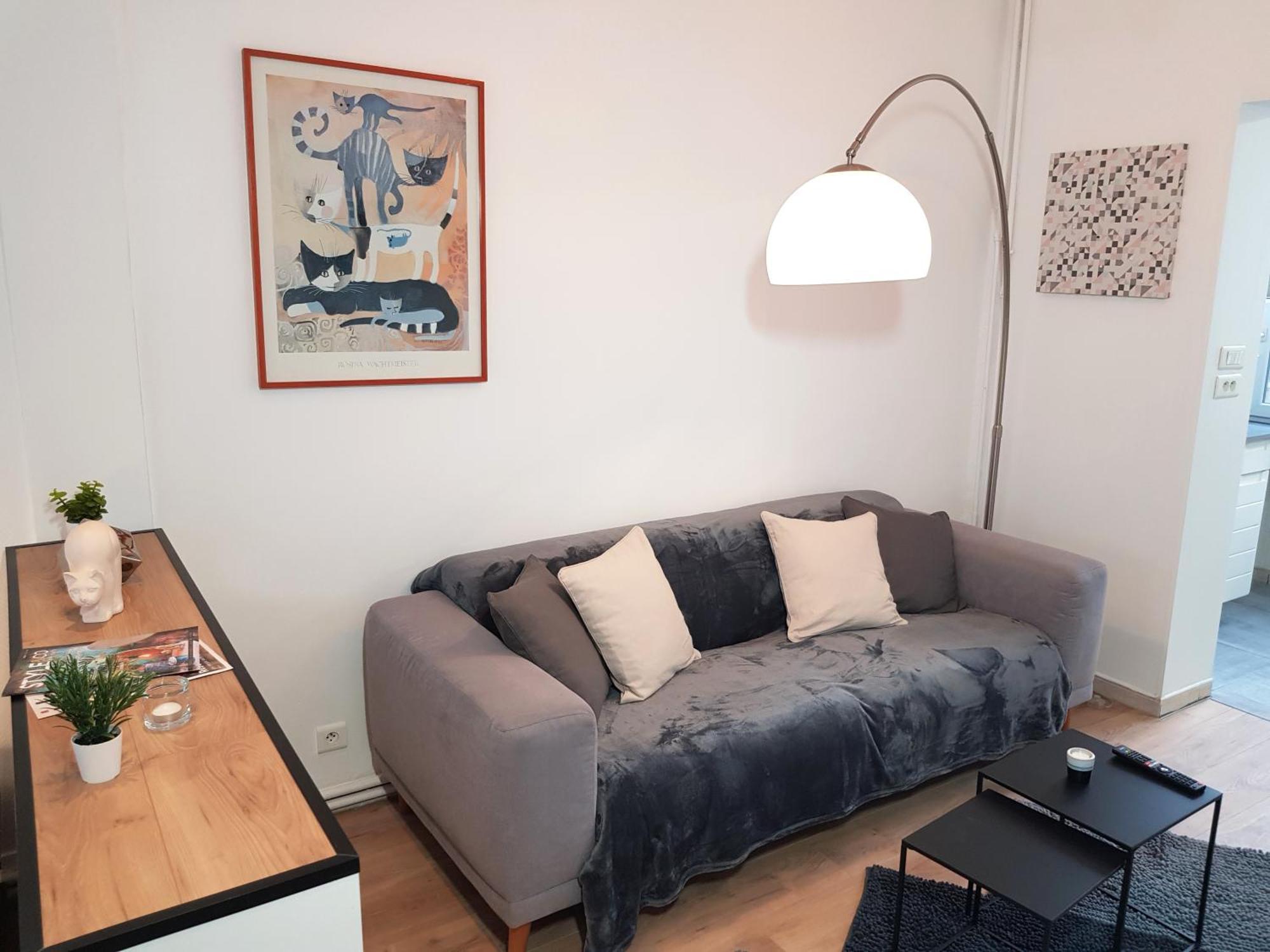 Le Chat D'Or - 35M2 - Terrasse - Bbq - Wifi Hd Amiens Dış mekan fotoğraf